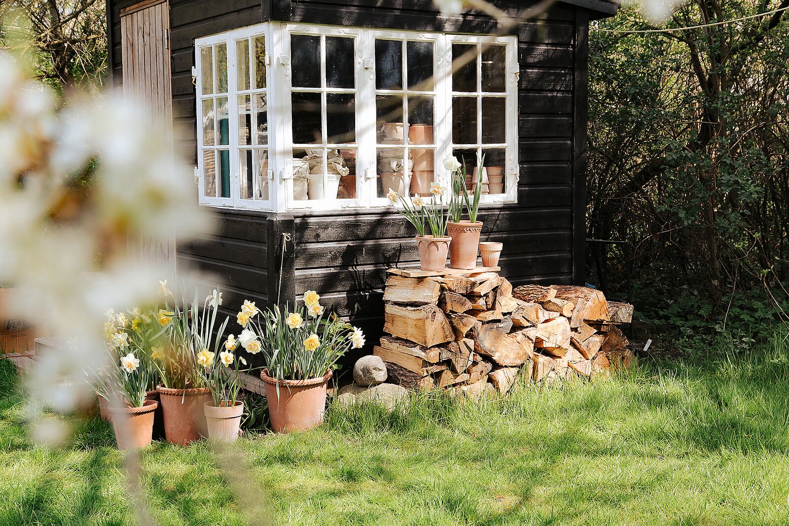 Bergs Potter Terracotta Pots.Bergs Potter